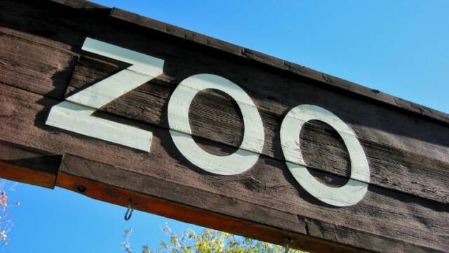 動物園　zoo